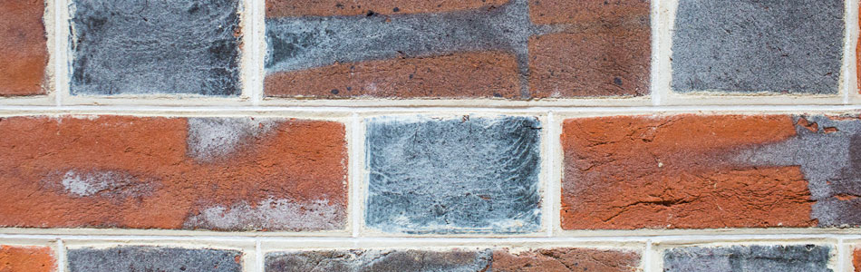 Brick Products and Services | All Brick & Stone