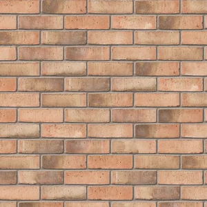 A0031: Birtley Olde English Buff