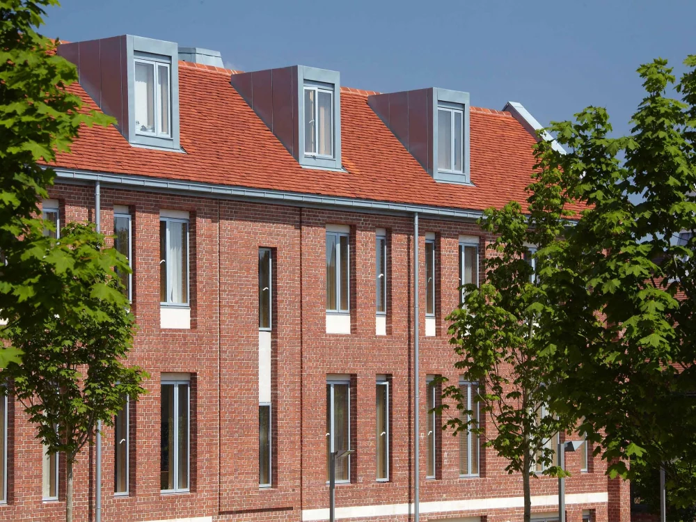 A0045: Warwickshire Olde English