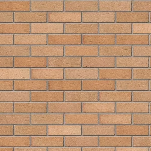 A0054: Brunswick Autumn