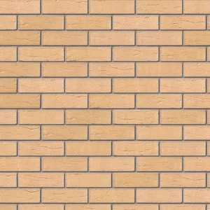 A0055: Brunswick Buff