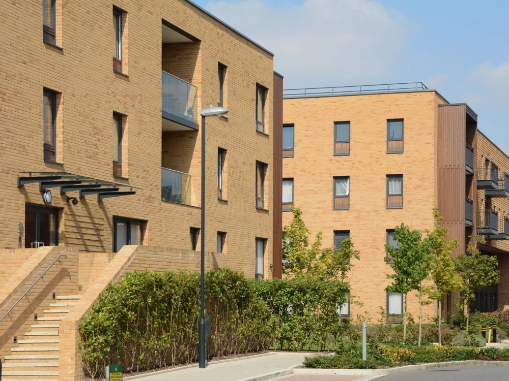 A0059: Brunswick Wilton Yellow