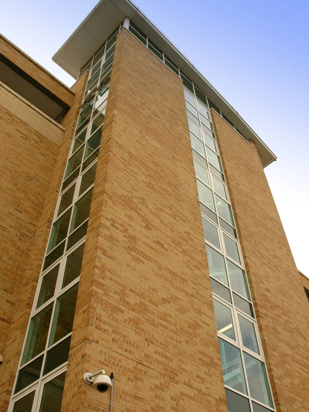 A0059: Brunswick Wilton Yellow