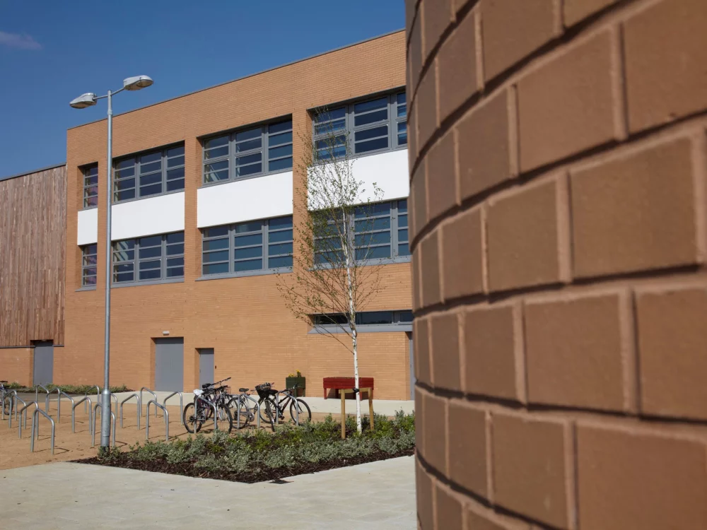 A0061: Cheddar Golden