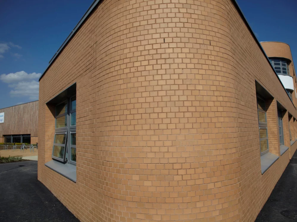 A0061: Cheddar Golden