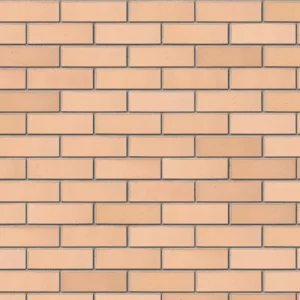 A0061: Cheddar Golden