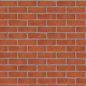 A0181: Dorset Red Stock