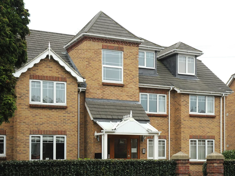 A0206: Bradgate Golden Purple