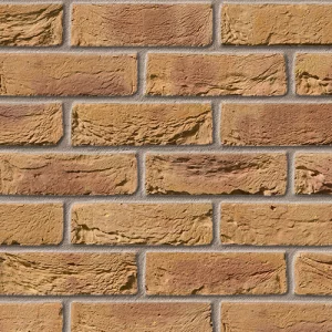 A0206: Bradgate Golden Purple