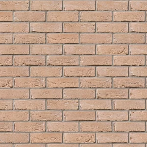 A0208: Bradgate Light Buff