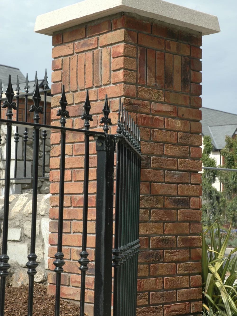 A0221: Ivanhoe Katrina Multi