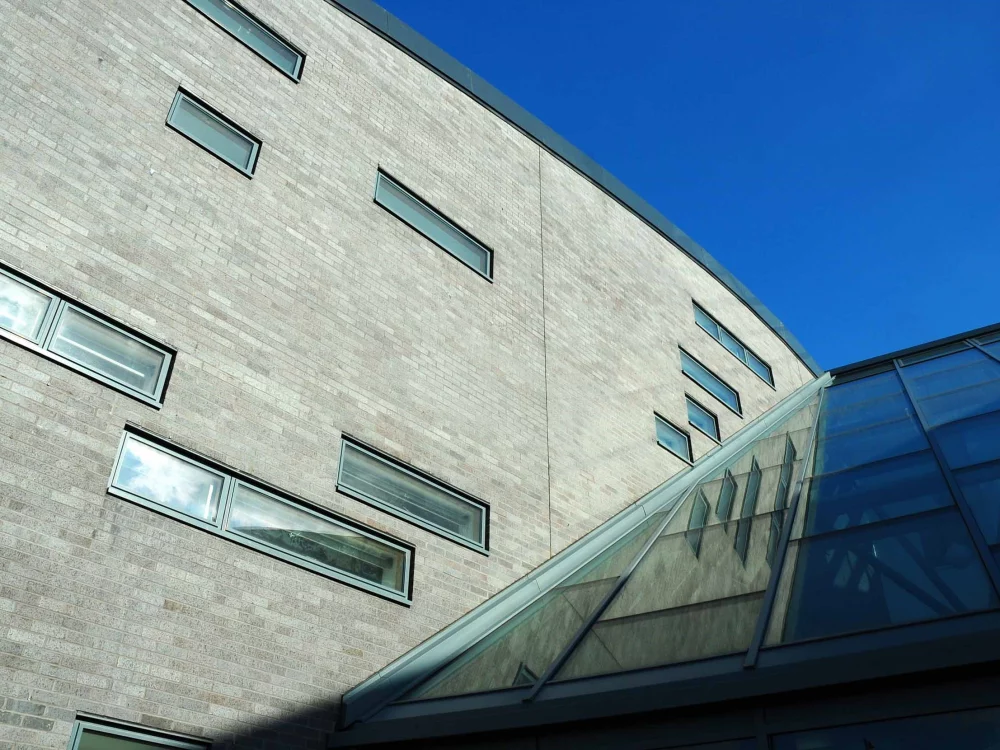 A0231: Staffordshire Blue Brindle Dragface