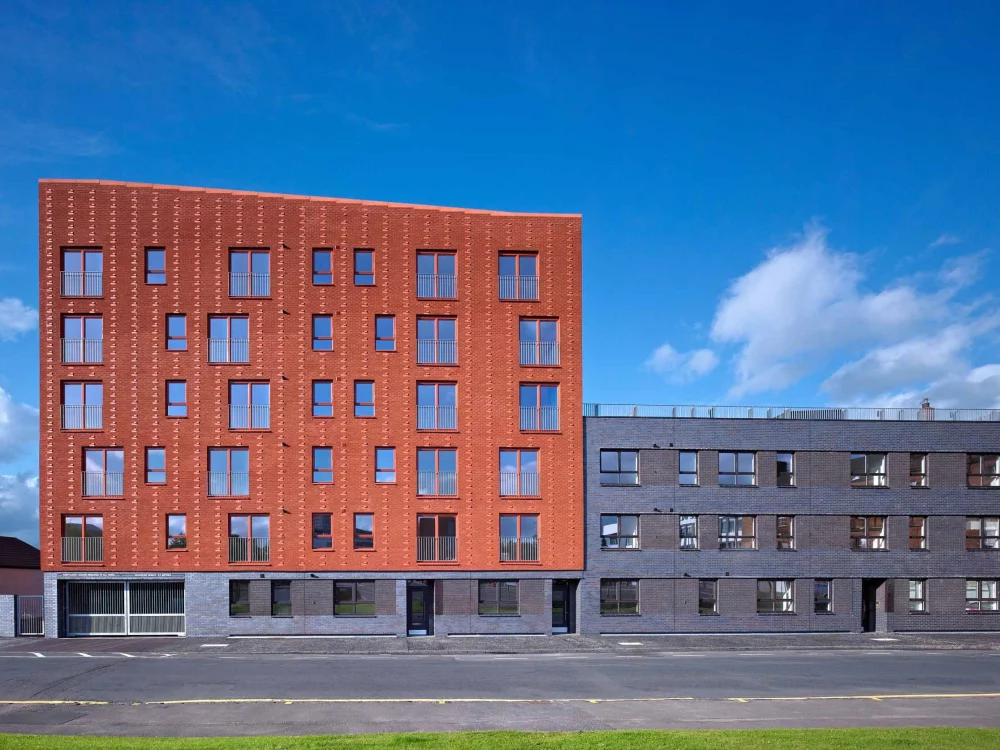 A0232: Staffordshire Blue Brindle Smooth