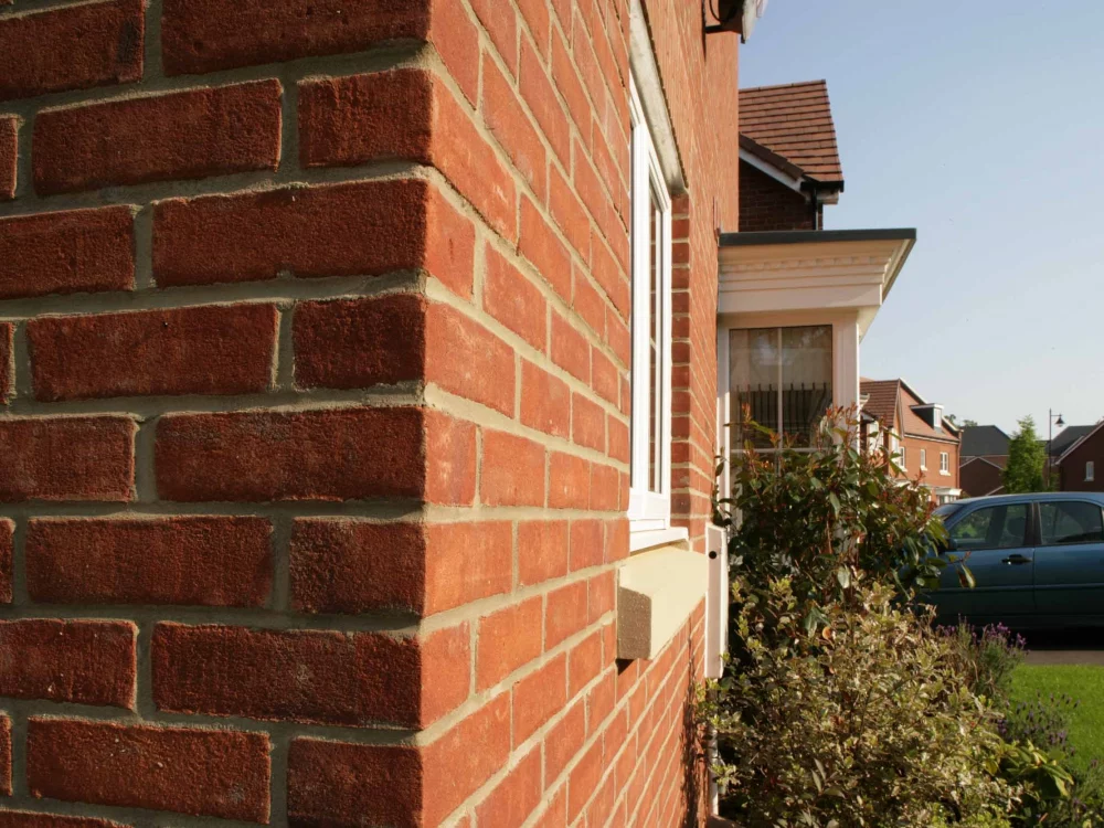 A0239: Mellow Regent Stock