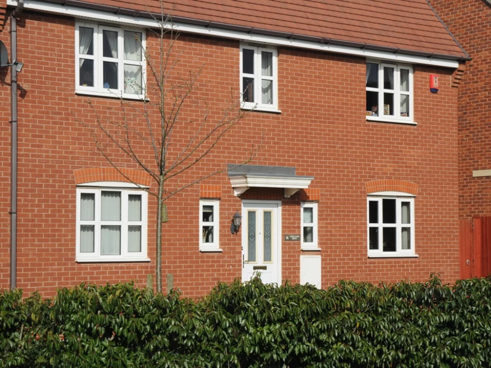 A0239: Mellow Regent Stock