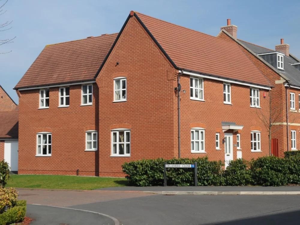 A0239: Mellow Regent Stock