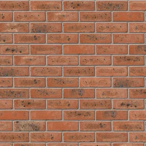 A0240: New Cavendish Stock