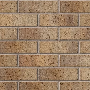 A0310: Tay Buff Multi