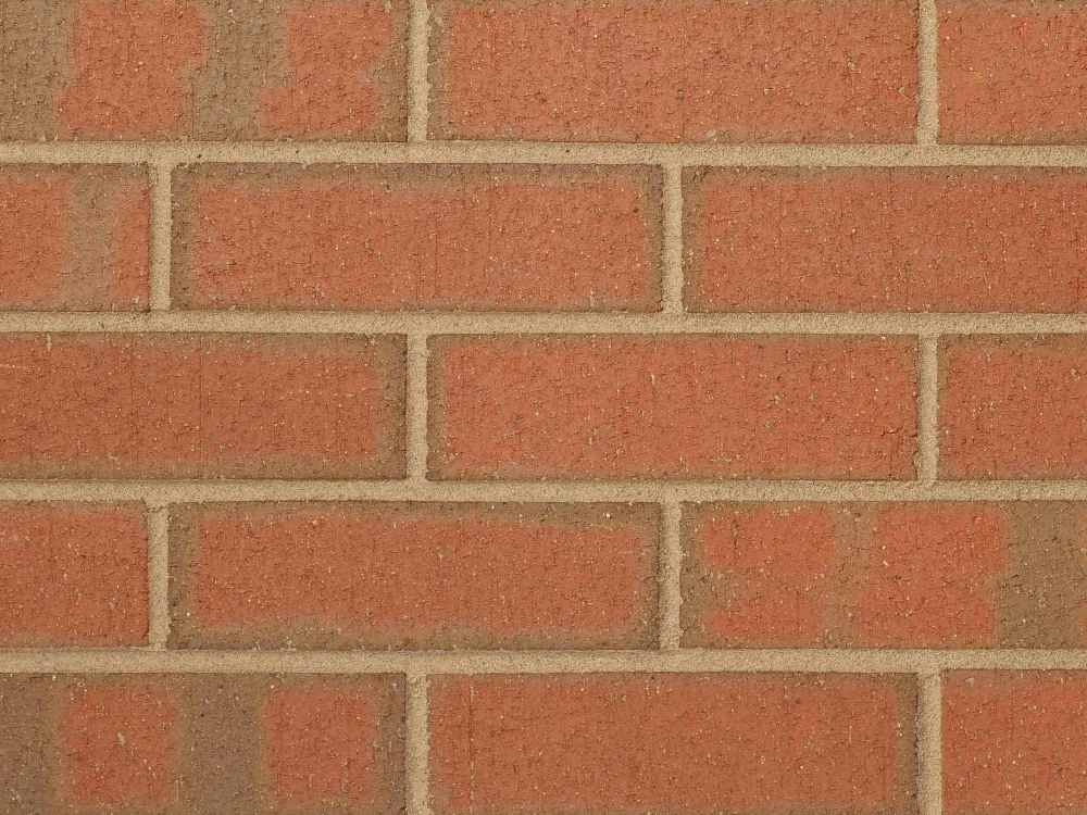 B0004: Hadley Brindle Wirecut