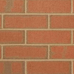 B0004: Hadley Brindle Wirecut