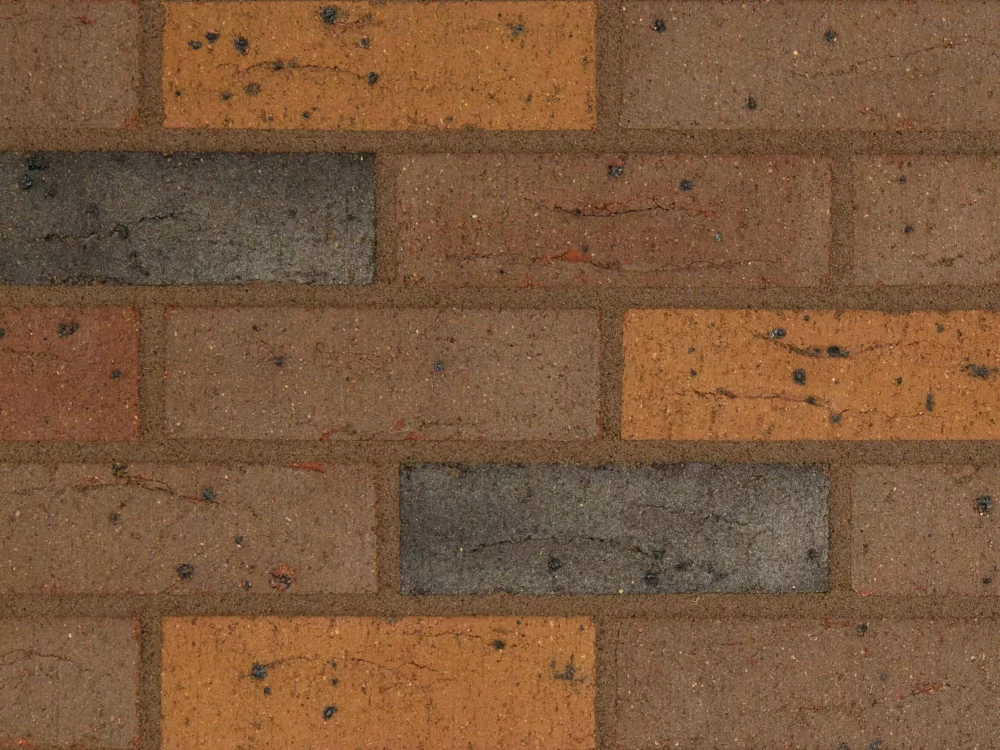 B0029: Synthesis S06