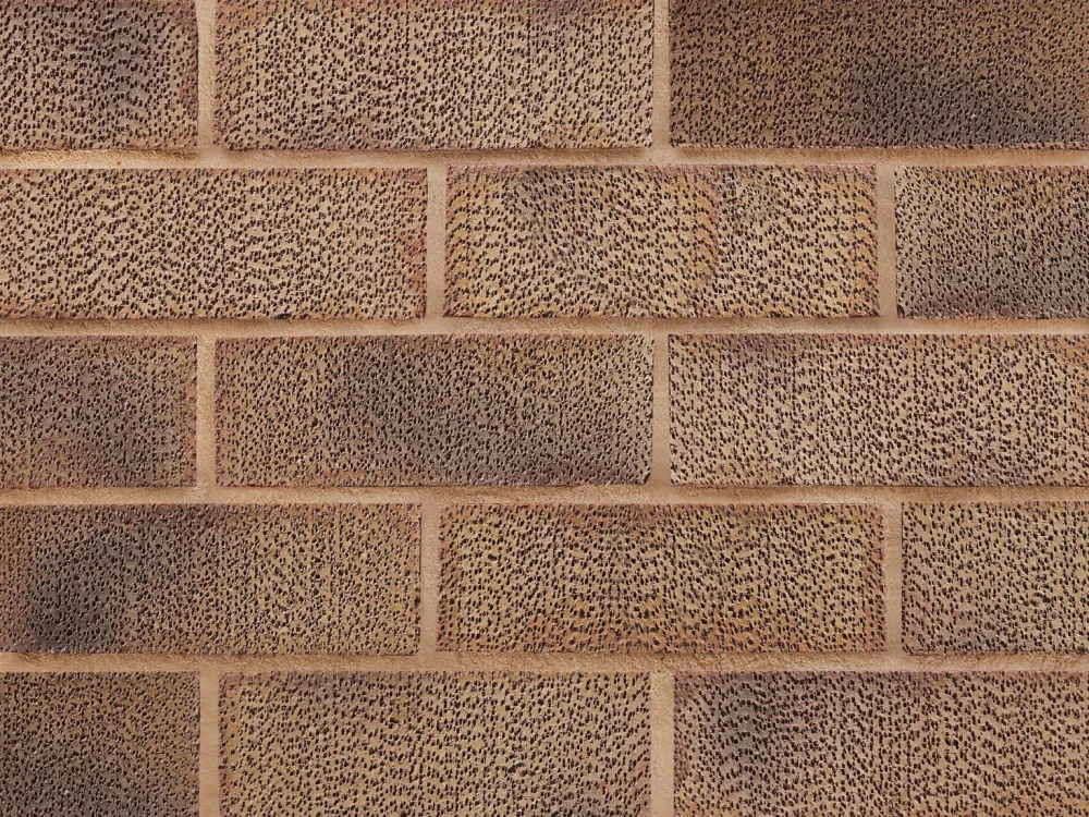 B0041: Pinhole Crofton Buff