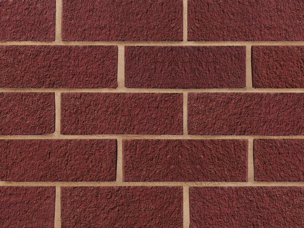 B0060: Red Sandfaced