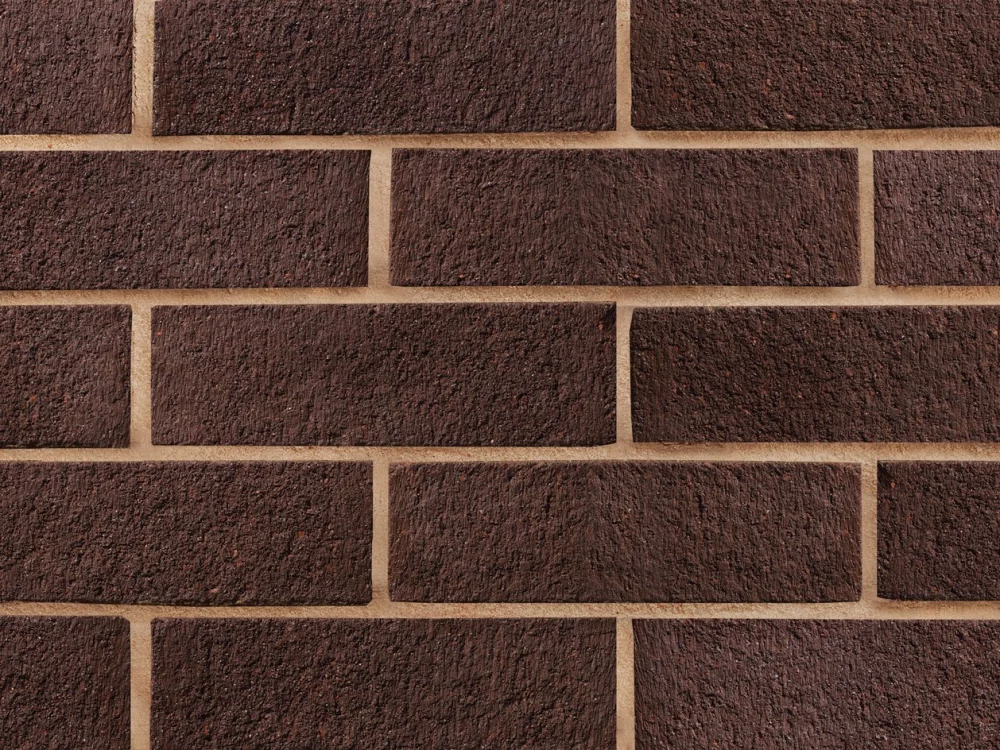 B0063: Brown Sandfaced