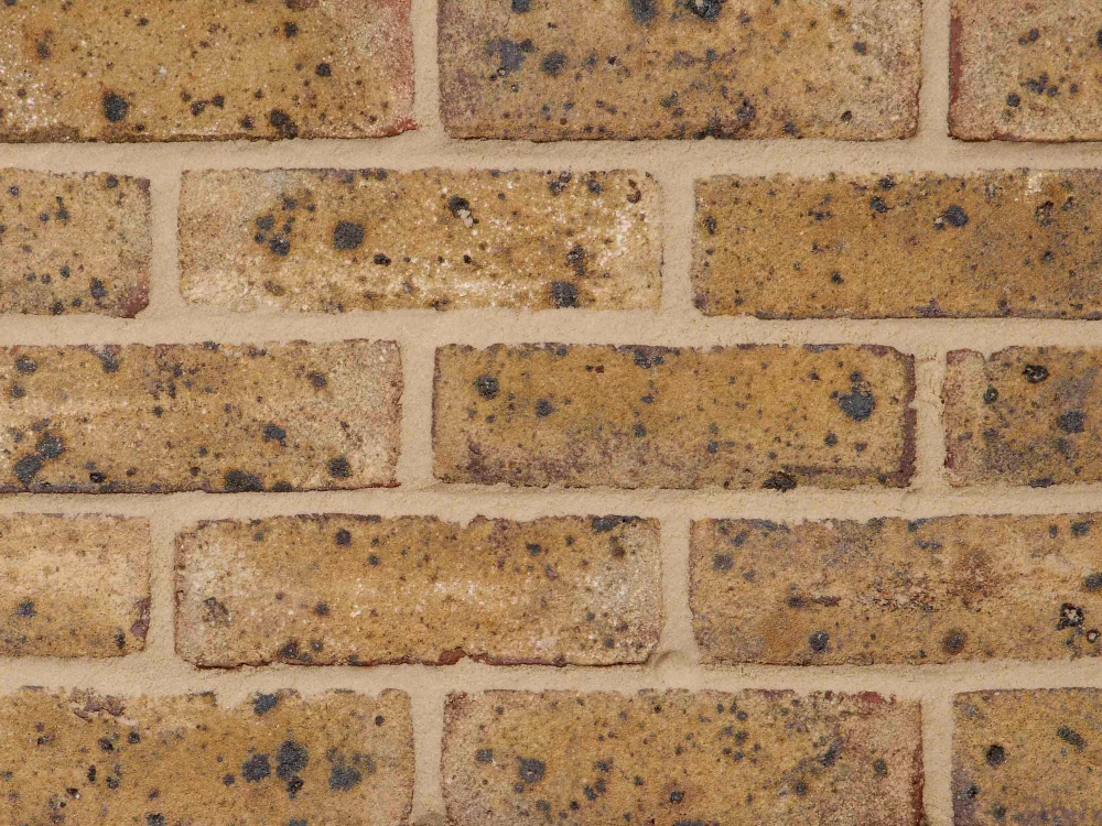 B0068: Danehill Yellow