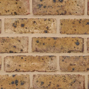 B0068: Danehill Yellow