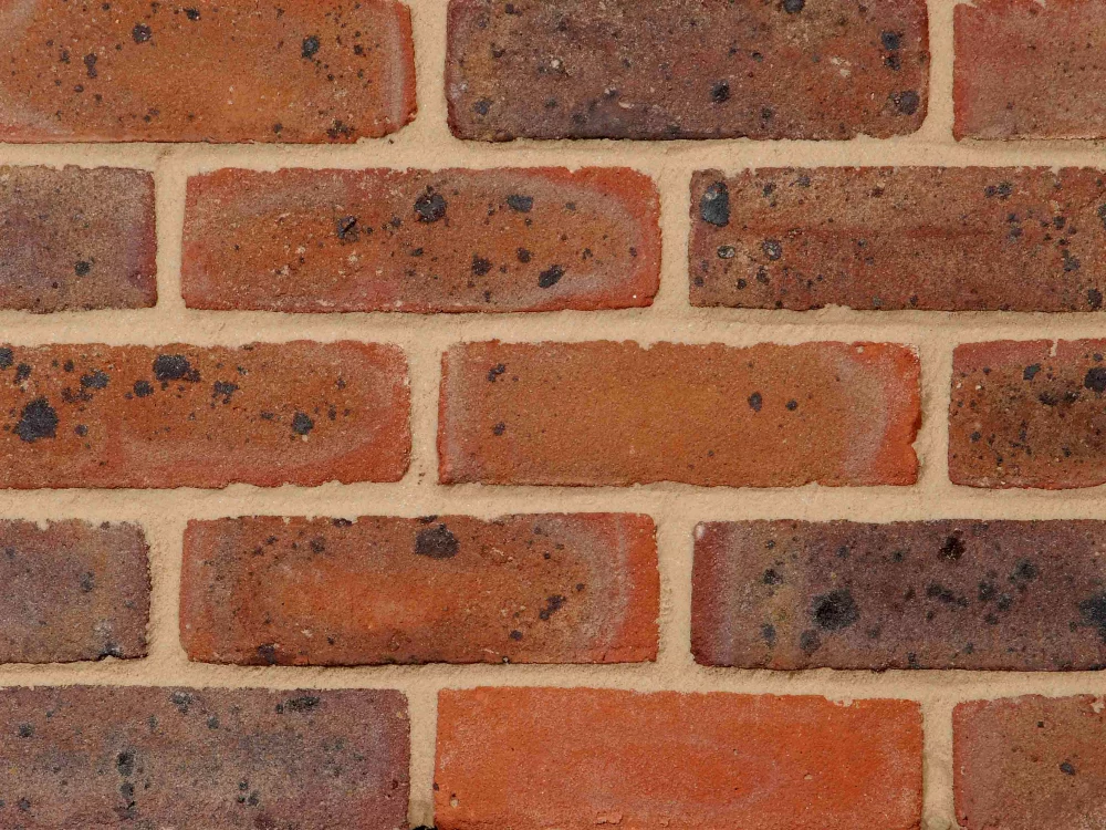 B0071: First Quality Multi