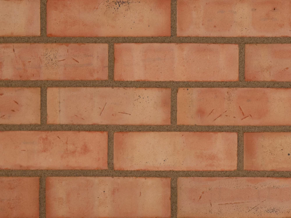 B0087: The Classic Common