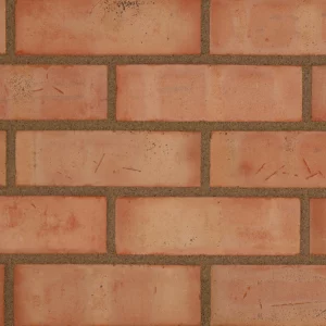 B0087: The Classic Common