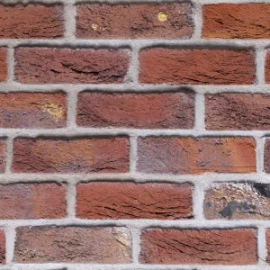 C0020: Blue Purple Sintered