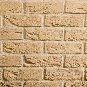 C0026: Cambourne Buff