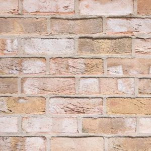 C0028: Canne Yellow Bronze