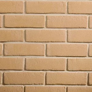 C0044: Cromwell Buff