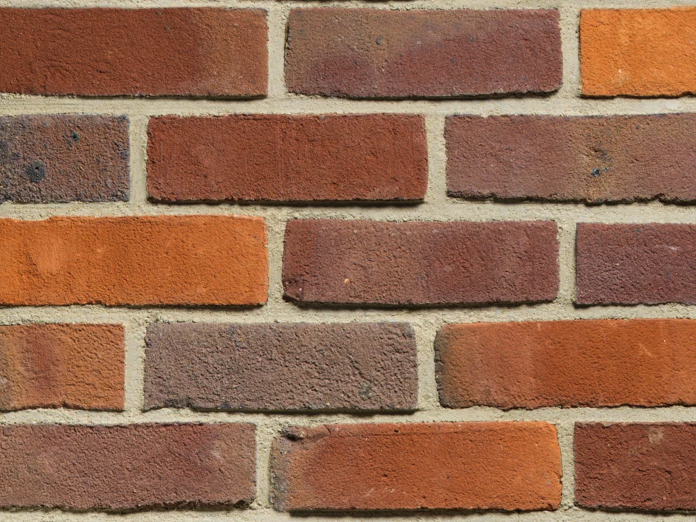 C0093: Maplebury Multi