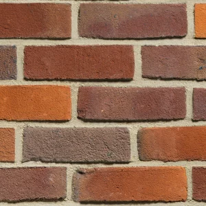 C0093: Maplebury Multi