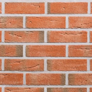 C0105: New Town Red Multi