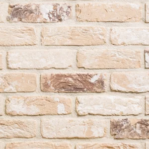 C0121: Olde Elsworth Cream