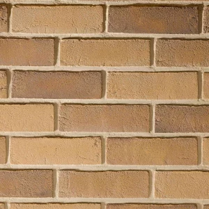 C0122: Olde English Buff Multi