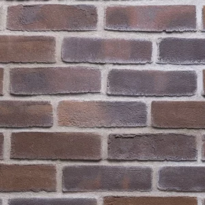 C0136: Rosta Dark Brown Black