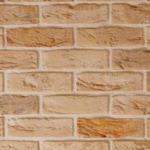 C0142: Shelford Cream Multi