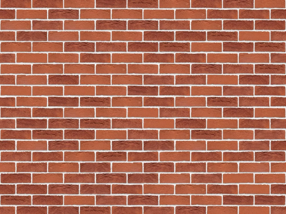 D0009: Becton Red Multi