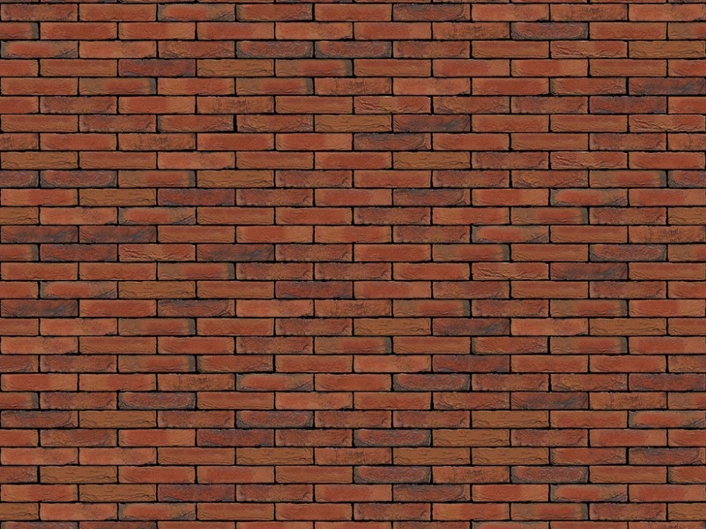 D0011: Blenheim Red Multi