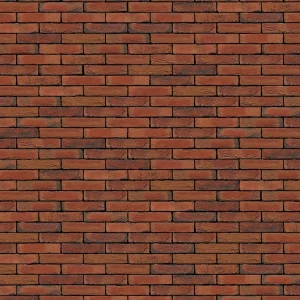 D0011: Blenheim Red Multi