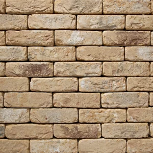 D0059: Old Sanderstead