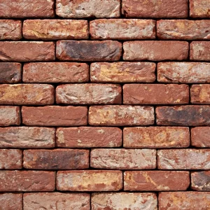 D0061: Old Willingham Red