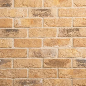 D0088: Woodland Mixture